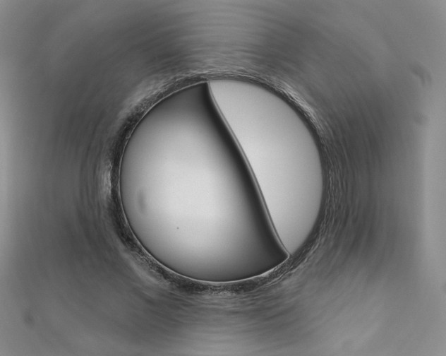 X0000110680685200906121035