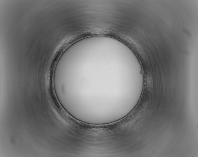 X0000110680686200906121035