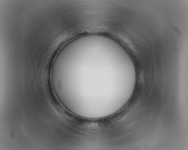 X0000110680687200906121035