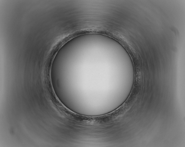 X0000110680688200906121035
