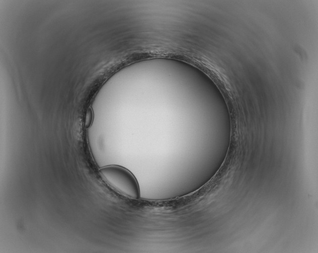 X0000110680689200906121035