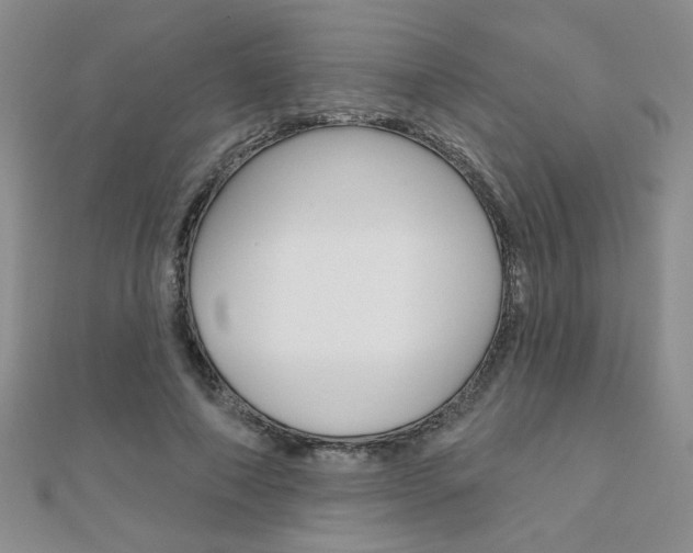 X0000110680690200906121035