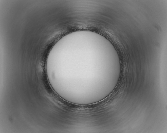 X0000110680691200906121035