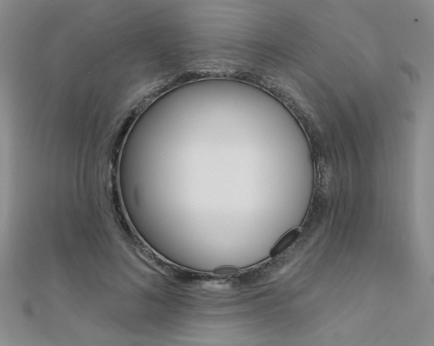 X0000110680692200906121035
