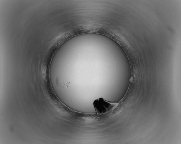X0000110680693200906121035