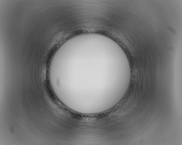 X0000110680694200906121035