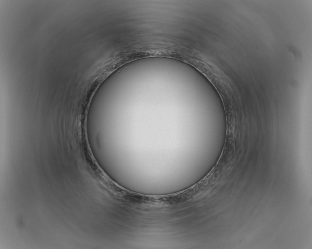 X0000110680696200906121035