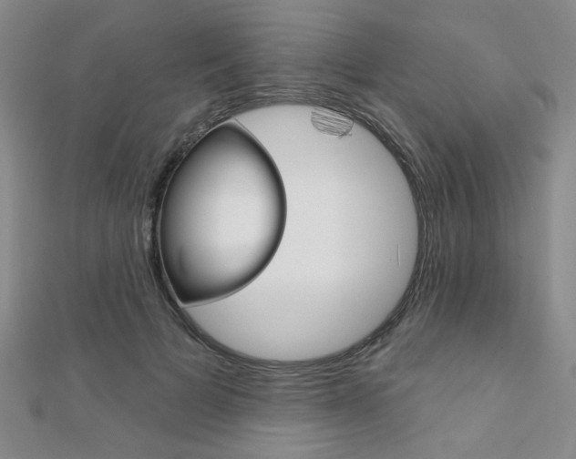 X0000110680697200906121035