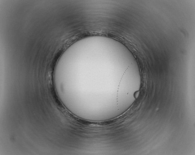 X0000110680699200906121035