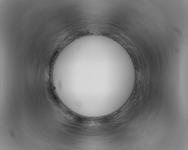 X0000110680702200906121035