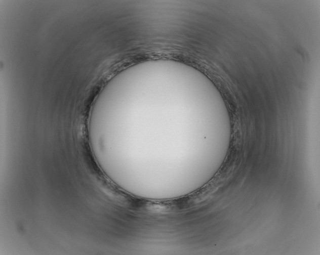 X0000110680706200906121035