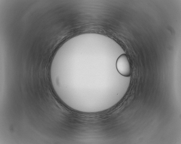 X0000110680708200906121035