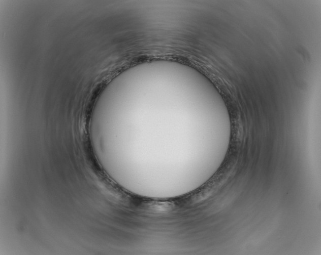 X0000110680711200906121035