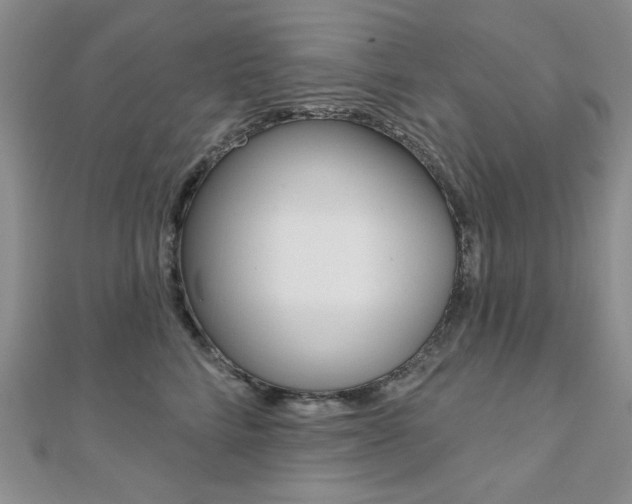 X0000110680712200906121035