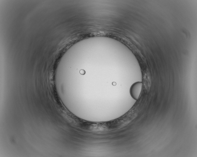 X0000110680714200906121035