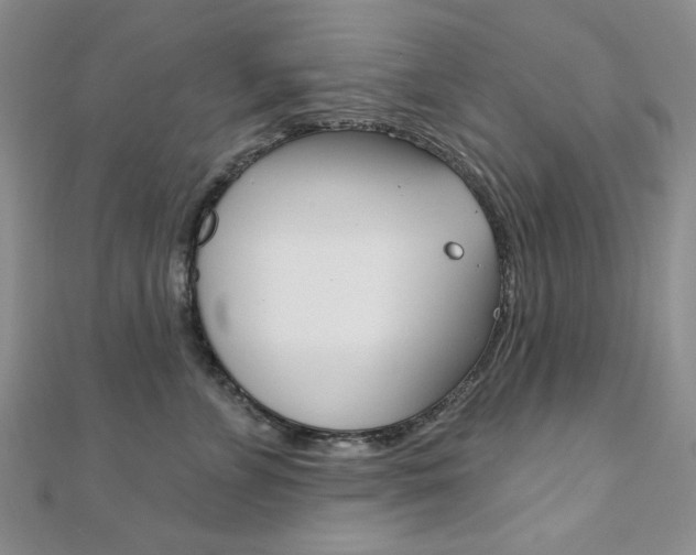 X0000110680715200906121035
