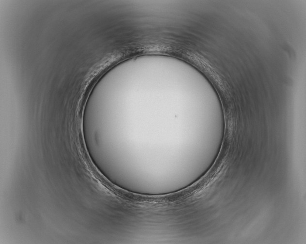 X0000110680721200906121034