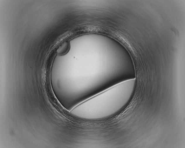 X0000110680722200906121034