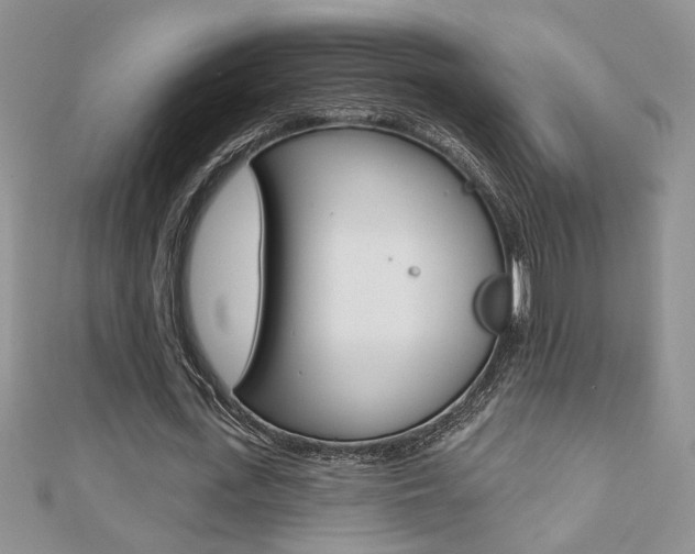 X0000110680723200906121034