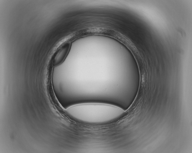 X0000110680724200906121034
