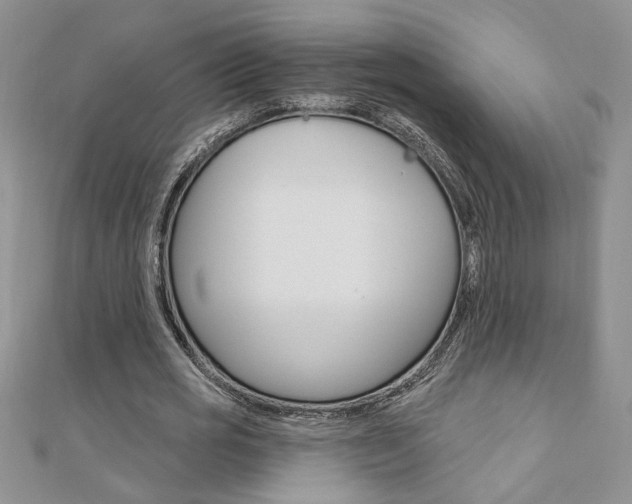 X0000110680725200906121034