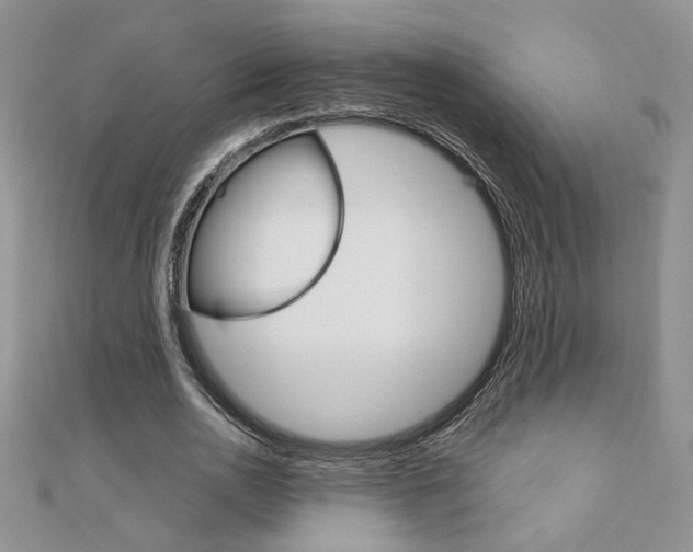 X0000110680726200906121034