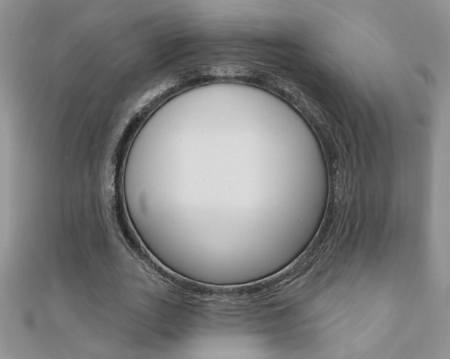 X0000110680727200906121034