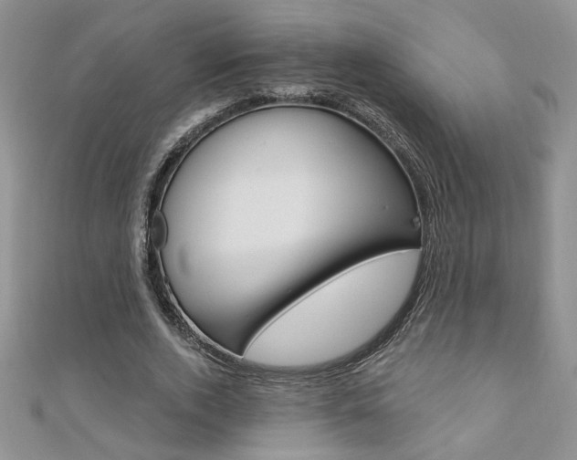 X0000110680728200906121034