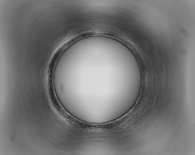 X0000110680730200906121034