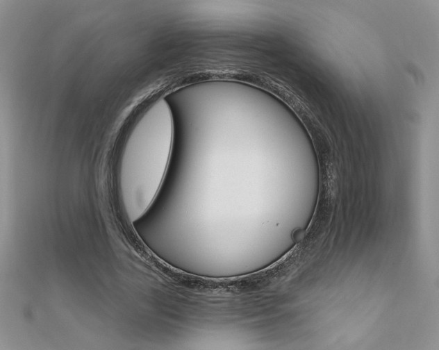 X0000110680731200906121034