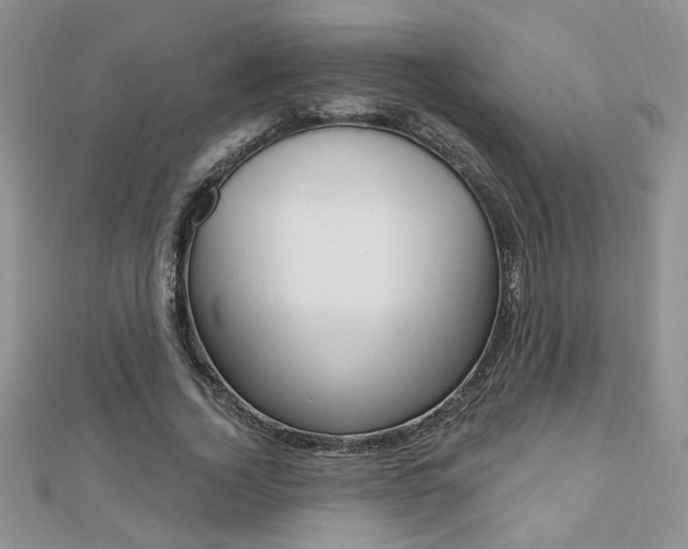 X0000110680732200906121034