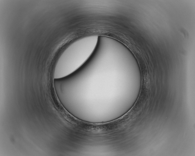 X0000110680735200906121035