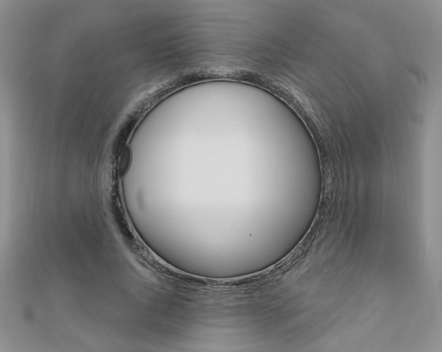 X0000110680736200906121035