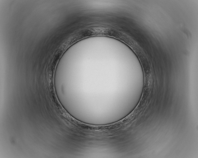 X0000110680737200906121035