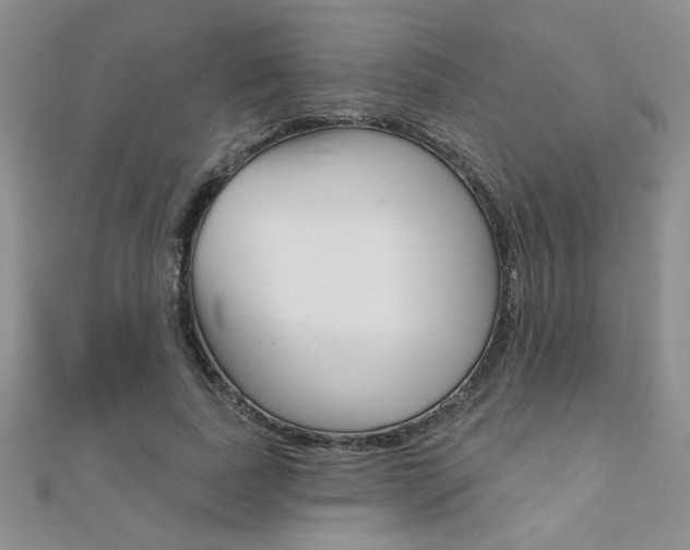 X0000110680739200906121035