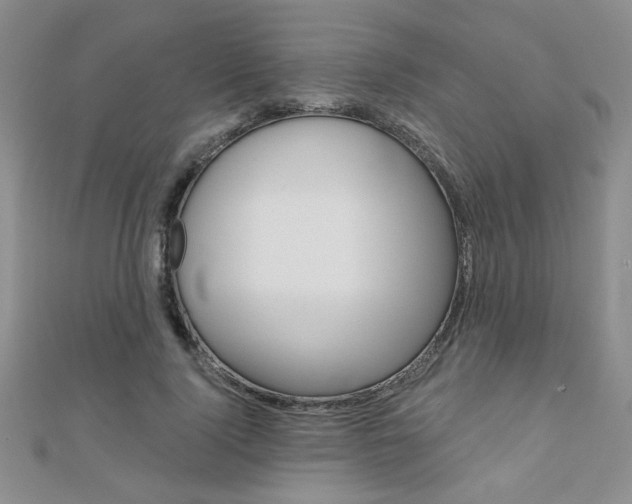 X0000110680740200906121035