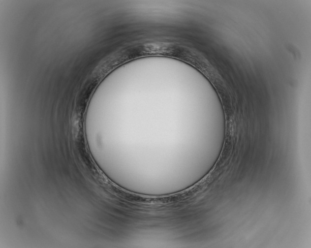 X0000110680741200906121035