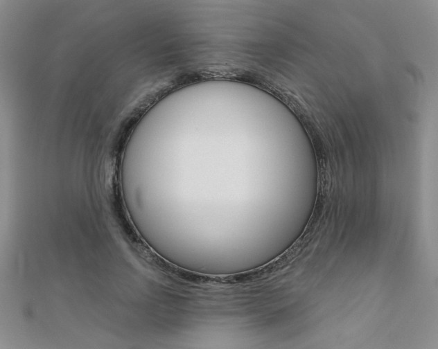X0000110680742200906121035
