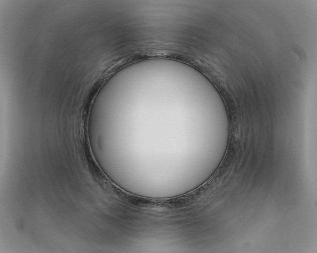 X0000110680743200906121035
