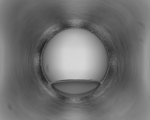 X0000110680744200906121035