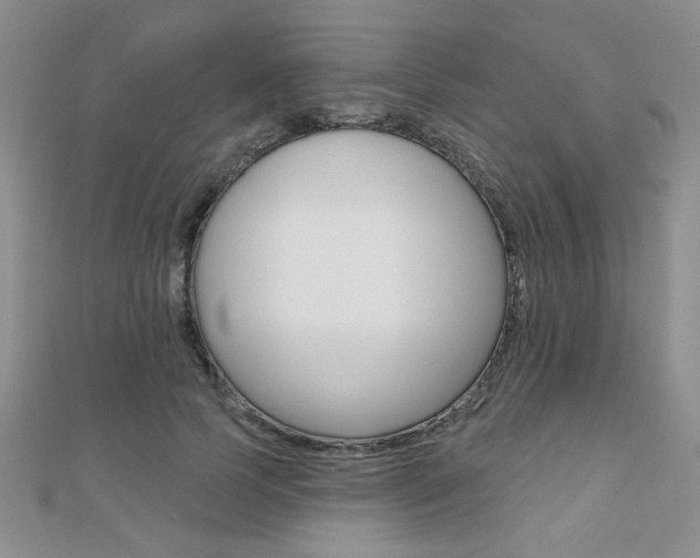 X0000110680745200906121035