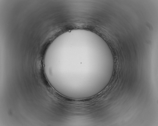 X0000110680746200906121035