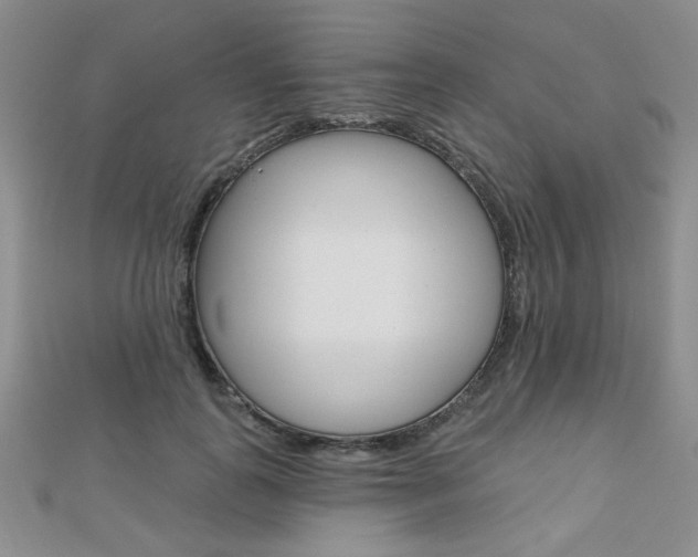X0000110680747200906121035