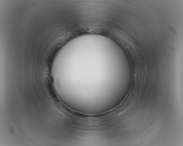 X0000110680748200906121035