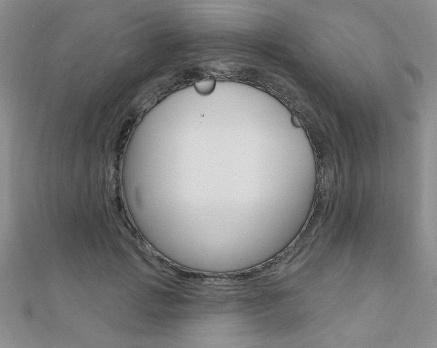 X0000110680749200906121035