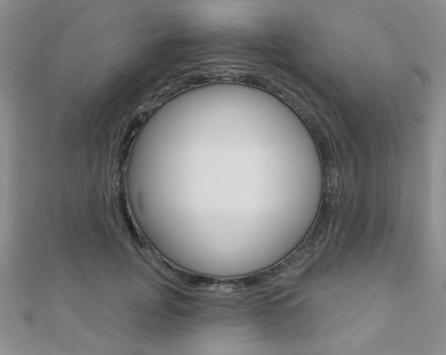 X0000110680751200906121035