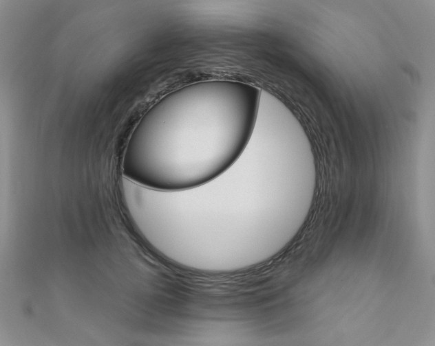 X0000110680752200906121035