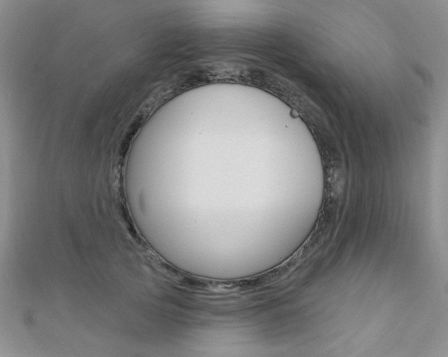 X0000110680753200906121035