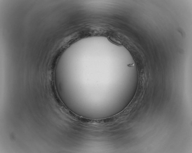 X0000110680756200906121035