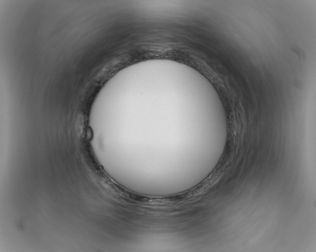 X0000110680758200906121035